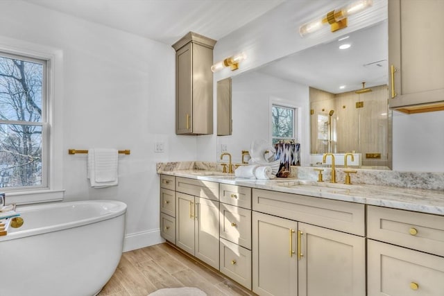 full bath with wood finished floors, walk in shower, a sink, and double vanity