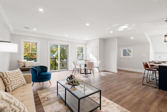 living room with wood-type flooring