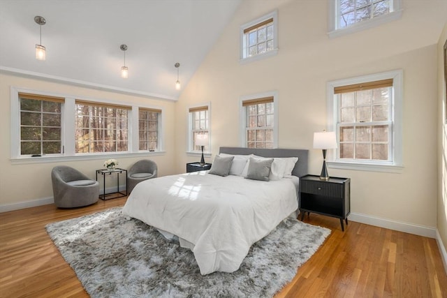 bedroom with multiple windows, baseboards, and wood finished floors