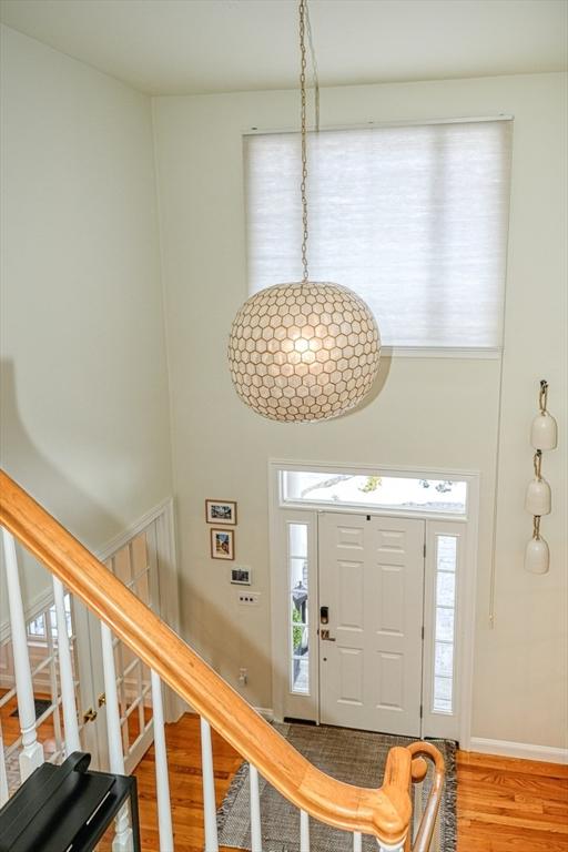 foyer featuring wood-type flooring