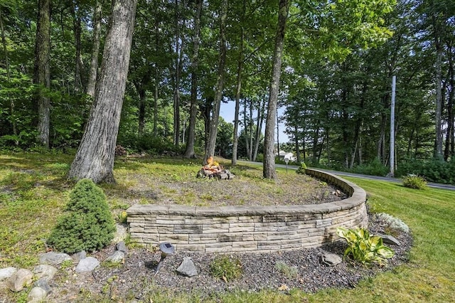 view of property's community with a yard