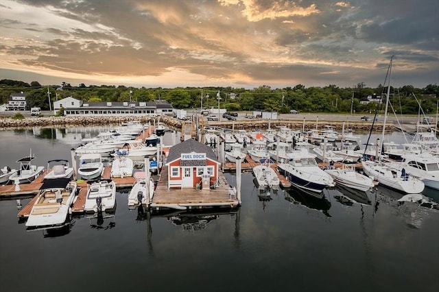 exterior space with a dock