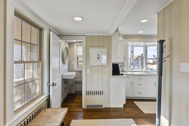 bathroom with sink, radiator heating unit, and hardwood / wood-style flooring