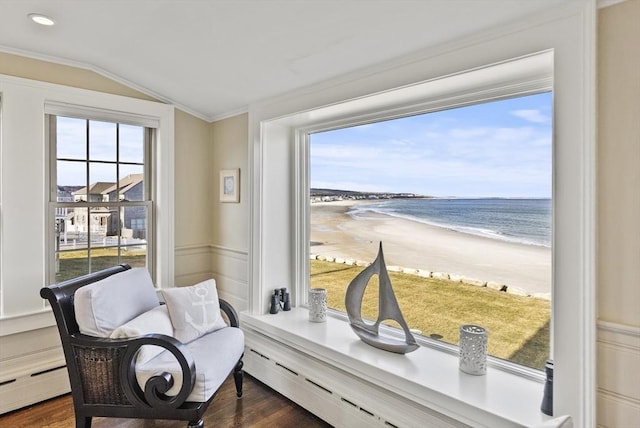 living area featuring dark hardwood / wood-style flooring, a baseboard heating unit, lofted ceiling, a view of the beach, and a water view