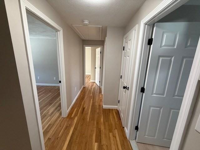 hallway featuring a textured ceiling and light hardwood / wood-style flooring