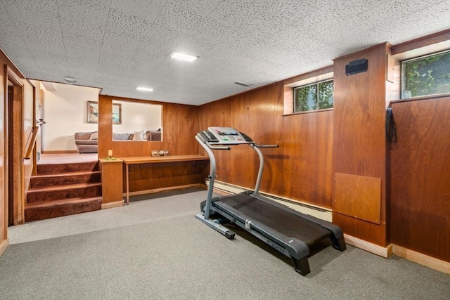 50 Thompson St, Dedham, MA 02026 - workout room featuring carpet and wood walls