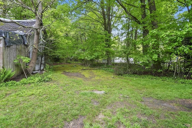 view of yard