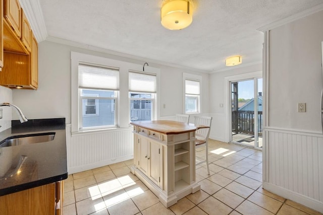 kitchen with crown molding, open shelves, wainscoting, a sink, and light tile patterned floors