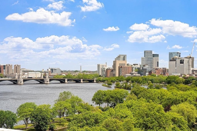 250 Beacon Unit 1B, Boston, MA 02116 - view of home's community with a skyline view and a water view