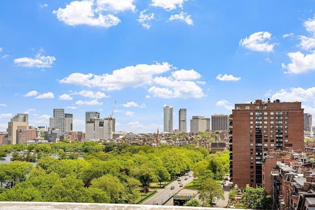 250 Beacon Unit 1B, Boston, MA 02116 - skyline view featuring a tree filled landscape