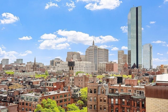250 Beacon Unit 1B, Boston, MA 02116 - skyline view