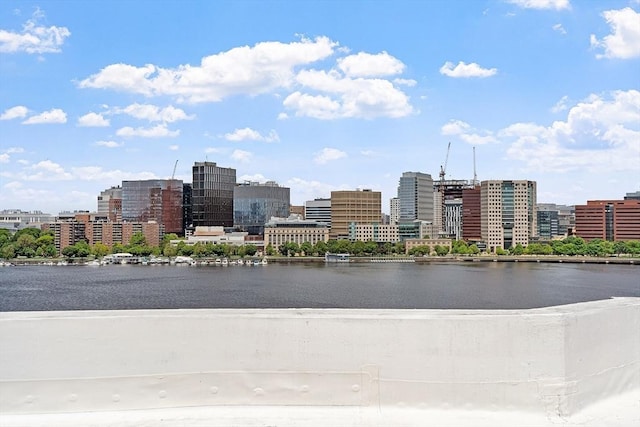 250 Beacon Unit 1B, Boston, MA 02116 - view of city skyline with a nearby body of water