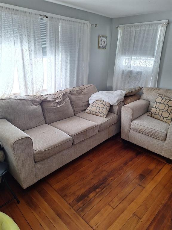 living room featuring dark wood-type flooring and a wealth of natural light