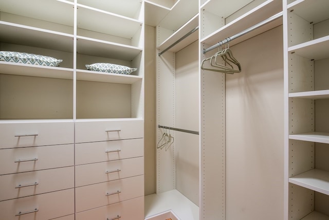 view of spacious closet