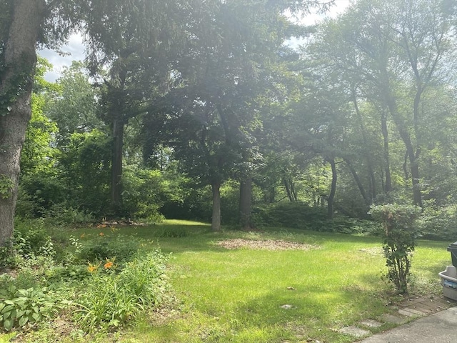 107 Rollins St, Springfield, MA 01109 - view of green lawn with a wooded view