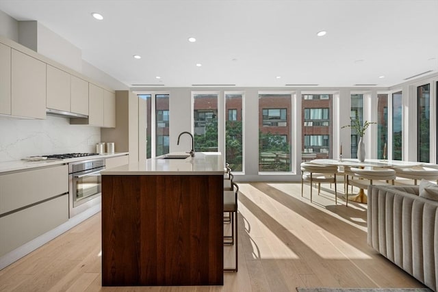 kitchen with under cabinet range hood, a sink, light wood-style floors, appliances with stainless steel finishes, and decorative backsplash