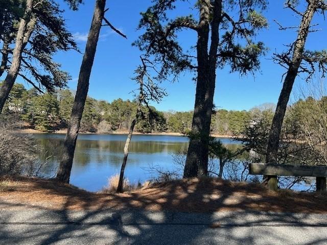307 Riverview Dr, Chatham, MA 02633 - water view with a wooded view