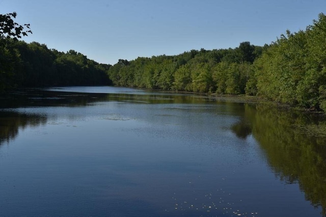 127 Sumner St, Milton, MA 02186 - water view with a forest