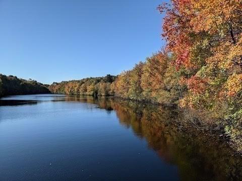 127 Sumner St, Milton, MA 02186 - water view with a heavily wooded area