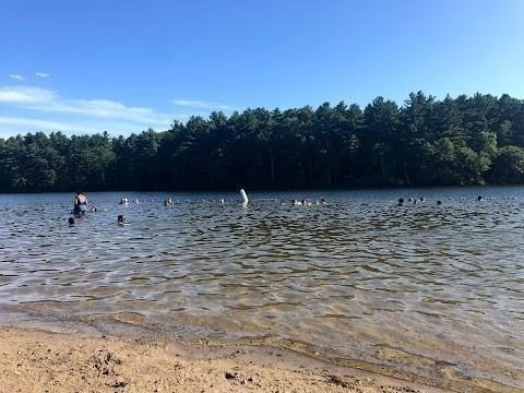 127 Sumner St, Milton, MA 02186 - water view with a heavily wooded area