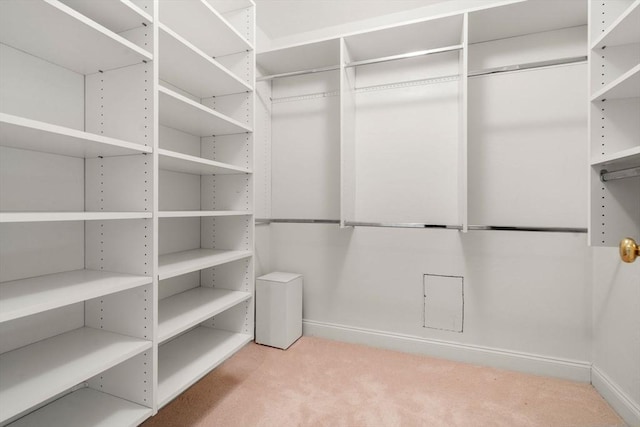 spacious closet with light colored carpet