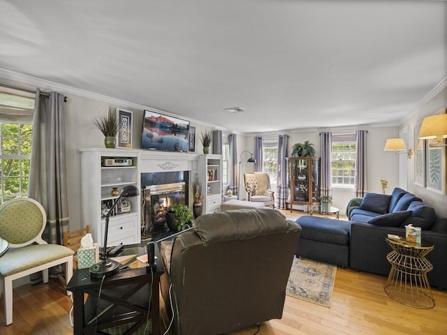 10 Robinhood Rd, Tyngsborough, MA 01879 - living area featuring ornamental molding, light wood-style floors, and a premium fireplace