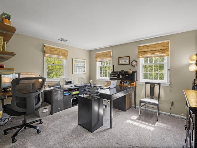 10 Robinhood Rd, Tyngsborough, MA 01879 - carpeted office with baseboards
