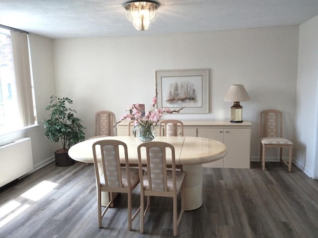 dining space featuring a healthy amount of sunlight, radiator, and wood finished floors