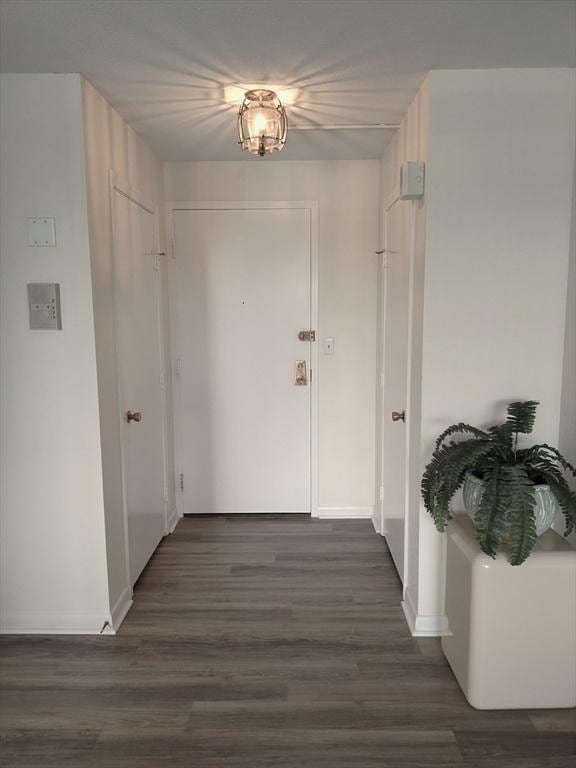 hall with baseboards and dark wood-type flooring