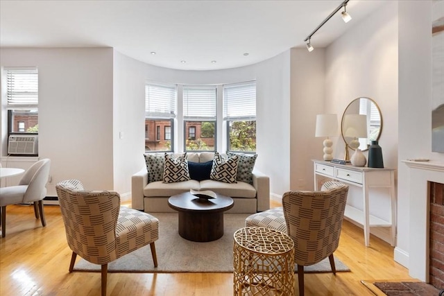 living area with rail lighting, light wood-style floors, and a healthy amount of sunlight