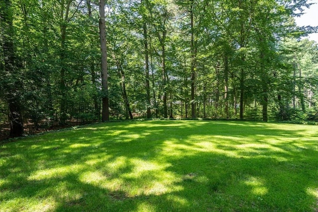 view of yard featuring a forest view