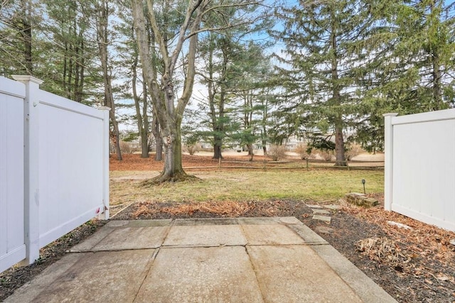 view of yard with a patio area