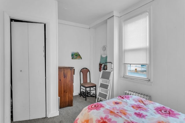 bedroom with a closet, carpet flooring, and radiator