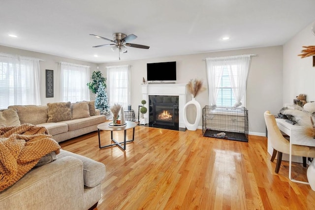 living room with ceiling fan and wood-type flooring