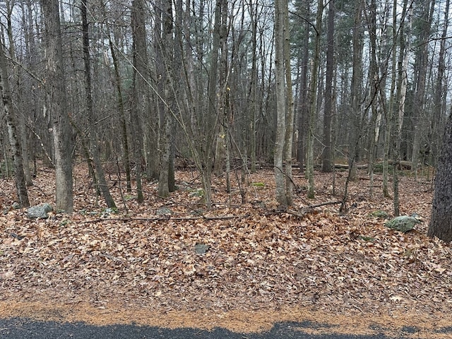 LOT2 Rhodes Rd, Princeton MA, 01541 land for sale