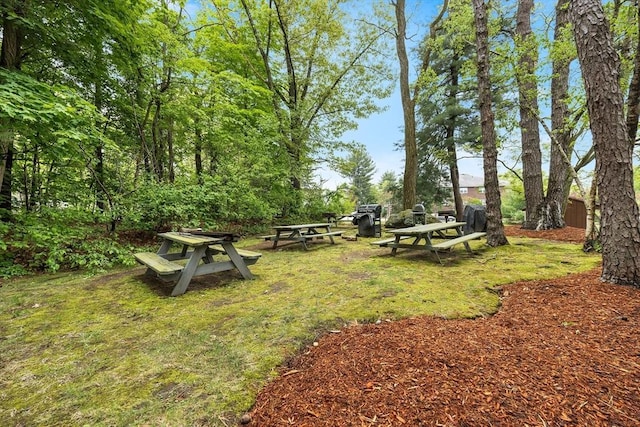 118 Parker St Unit 16, Acton, MA 01720 - view of yard