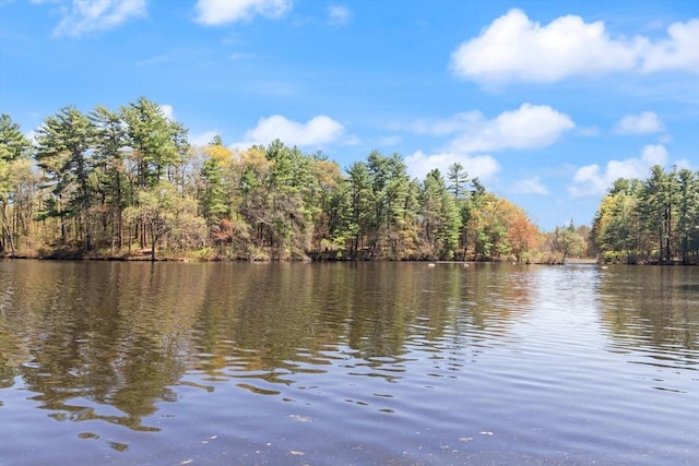 water view featuring a forest view