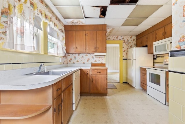 34 Worcester St, Grafton, MA 01519 - kitchen with white appliances, wallpapered walls, a sink, a paneled ceiling, and light floors