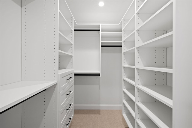 walk in closet featuring light colored carpet