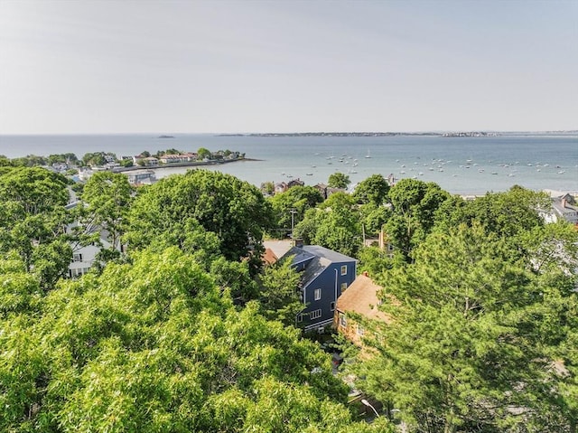 31 Cedar Hill Ter, Swampscott, MA 01907 - drone / aerial view of a large body of water