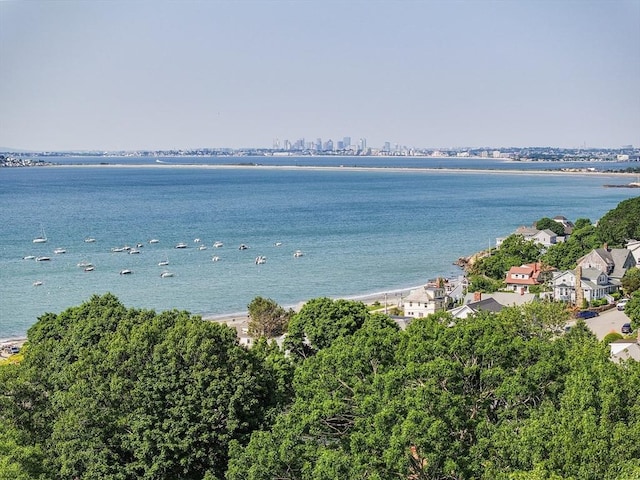 31 Cedar Hill Ter, Swampscott, MA 01907 - water view