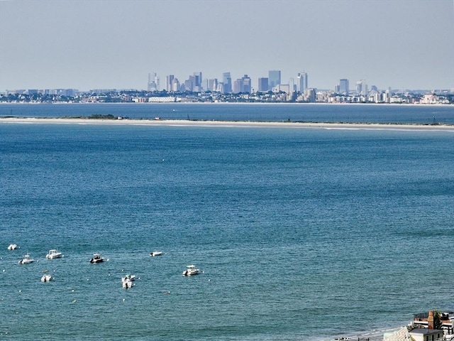 31 Cedar Hill Ter, Swampscott, MA 01907 - water view with skyline