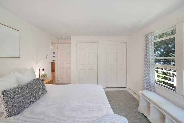 bedroom with two closets