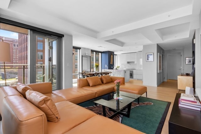 living room with light hardwood / wood-style flooring and a healthy amount of sunlight