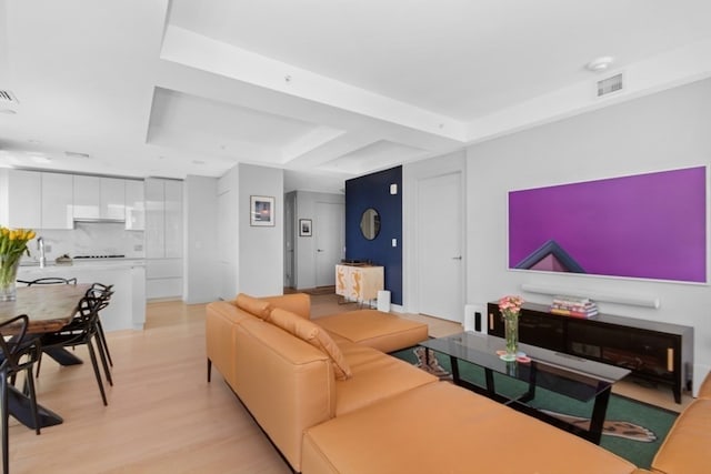 living room with sink, light hardwood / wood-style flooring, a fireplace, and a raised ceiling