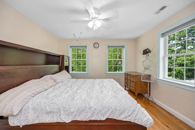 44 Sachem St, Waltham, MA 02451 - bedroom with baseboards, light wood-type flooring, and a ceiling fan