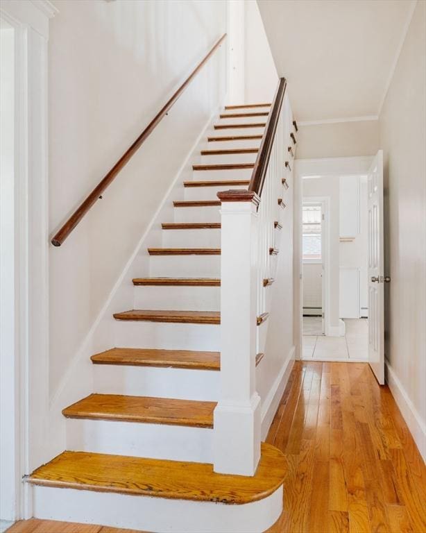 204 Maple St, Boston, MA 02132 - stairway featuring wood finished floors and a baseboard heating unit