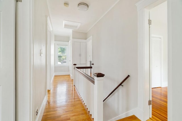 204 Maple St, Boston, MA 02132 - hall featuring an upstairs landing, light wood finished floors, attic access, and crown molding