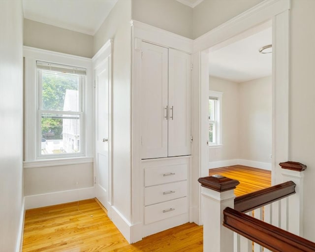 204 Maple St, Boston, MA 02132 - hallway with light wood-type flooring and baseboards