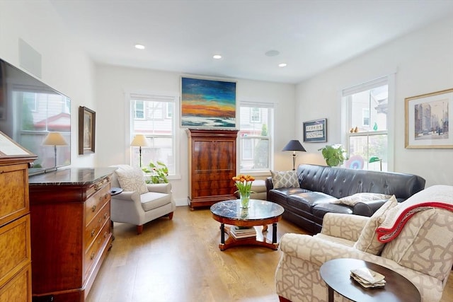 12 Lester Ter, Somerville, MA 02144 - living room featuring light wood-style flooring and recessed lighting